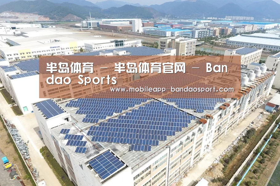 案例展示一