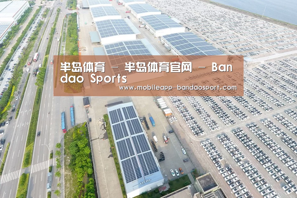 案例展示一