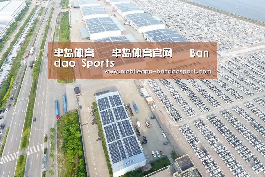 案例展示三