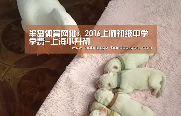 半岛体育下载