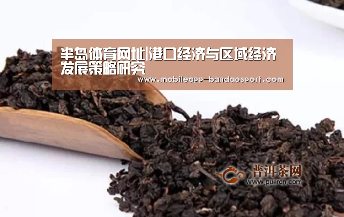 半岛体育网址|港口经济与区域经济发展策略研究(图2) 半岛体育下载