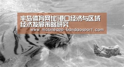 半岛体育网址|港口经济与区域经济发展策略研究(图3) 半岛体育