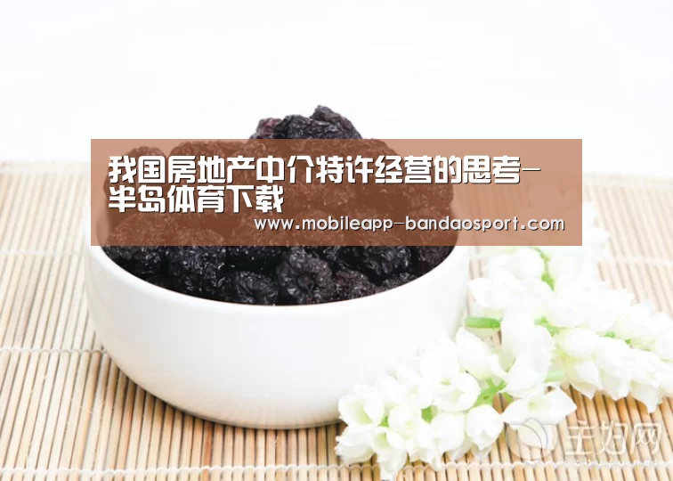 我国房地产中介特许经营的思考-半岛体育下载(图3) 半岛体育网址