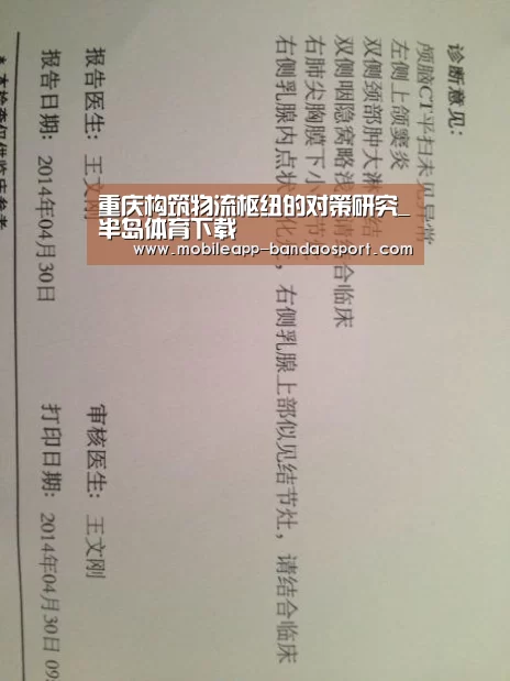 重庆构筑物流枢纽的对策研究_半岛体育下载(图1) 半岛体育下载