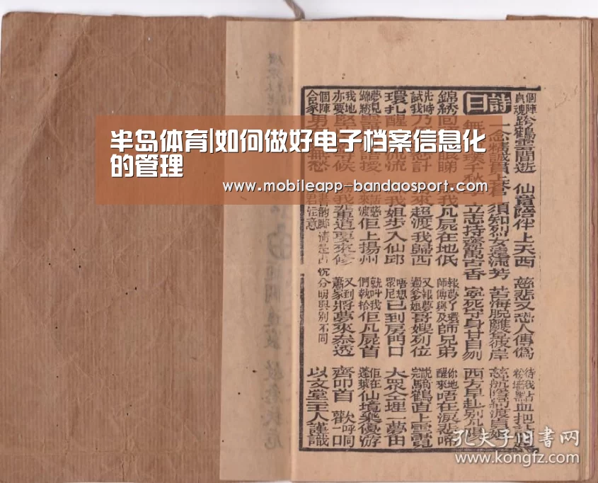 半岛体育|如何做好电子档案信息化的管理(图2) 半岛体育|如何做好电子档案信息化的管理(图2)