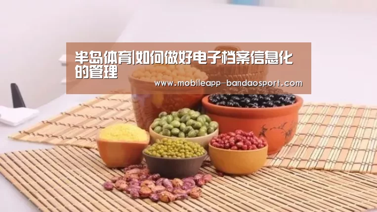 半岛体育|如何做好电子档案信息化的管理(图1) 半岛体育|如何做好电子档案信息化的管理(图1)