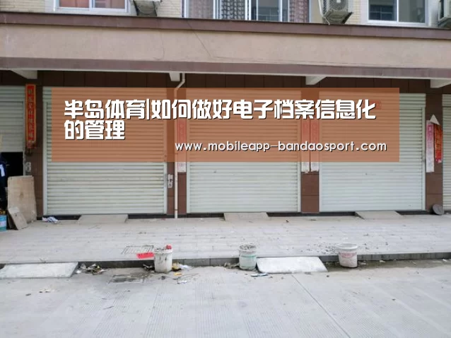 半岛体育|如何做好电子档案信息化的管理(图4) 半岛体育