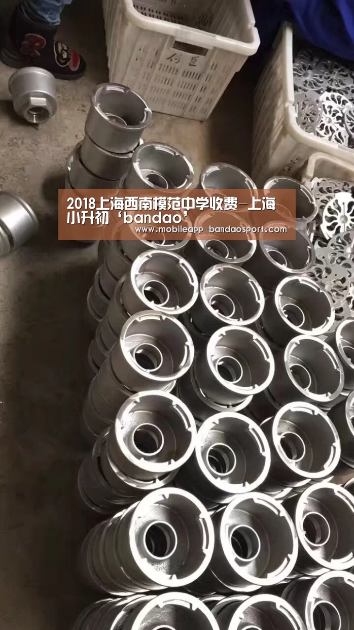 2018上海西南模范中学收费-上海小升初‘bandao’(图2) 2018上海西南模范中学收费-上海小升初‘bandao’(图2)