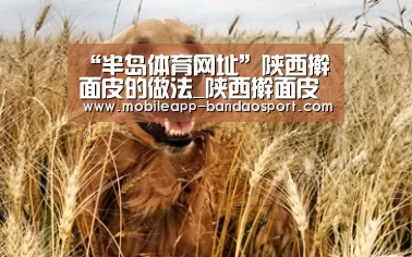 半岛体育下载