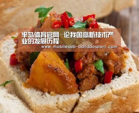 半岛体育官网-论我国高新技术产业的发展历程(图1) 半岛体育下载