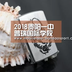 2018贵阳一中普瑞国际学校招生简章-贵阳小升初-半岛体育官网(图1) 半岛体育