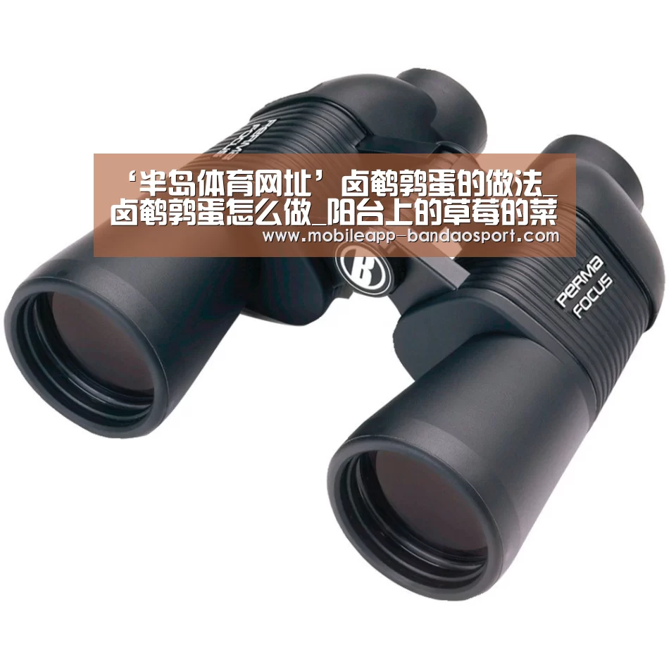 ‘半岛体育网址’卤鹌鹑蛋的做法_卤鹌鹑蛋怎么做_阳台上的草莓的菜谱(图1) 半岛体育官网
