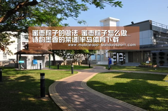 蜜枣粽子的做法_蜜枣粽子怎么做_诗韵墨香